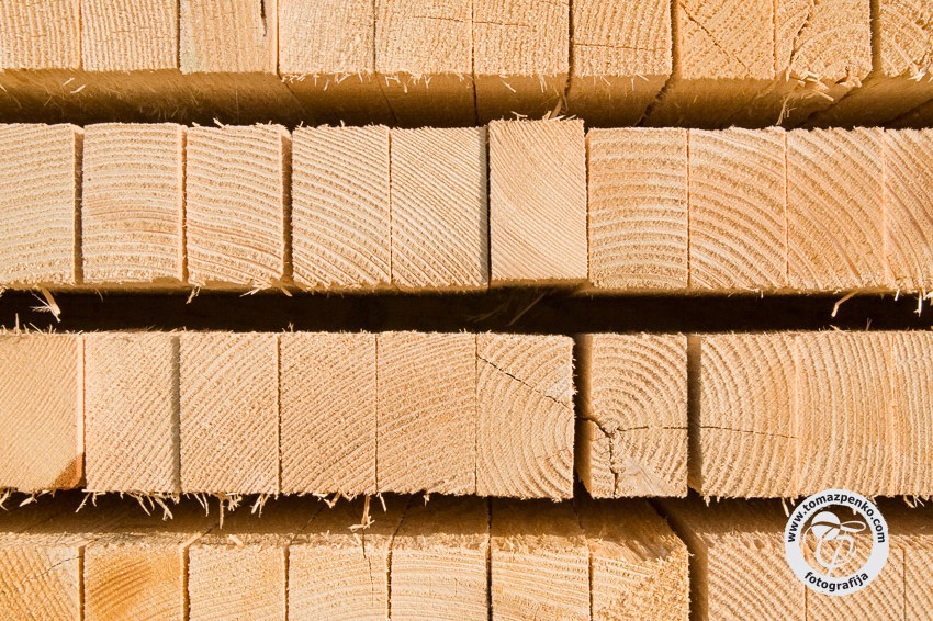 Iščemo les za urejanje planinskih poti I PD Postojna