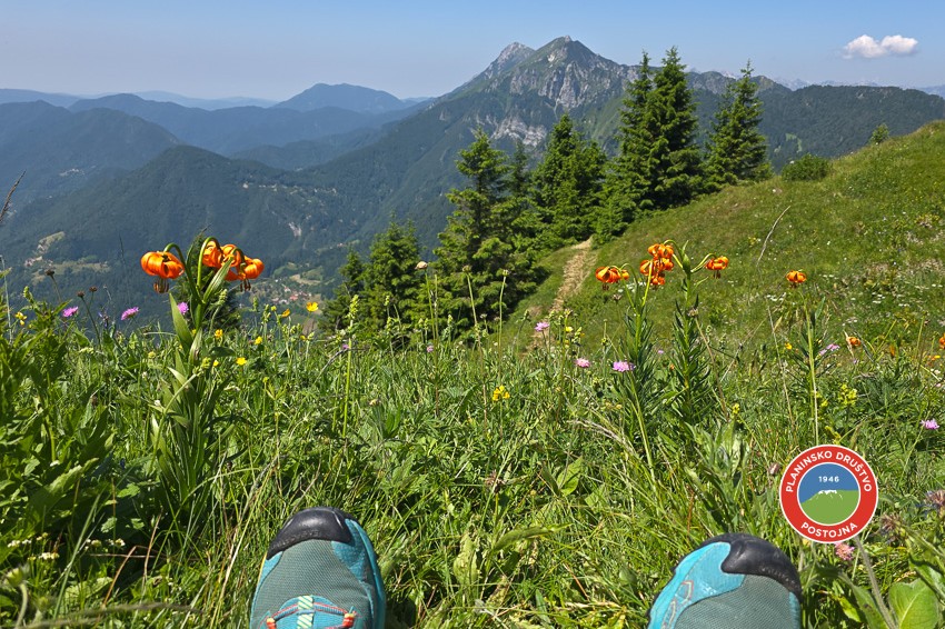 Vrhovi nad Soriško planino